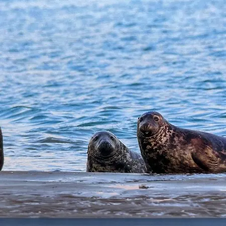 Mahon 250m De La Lejlighed *